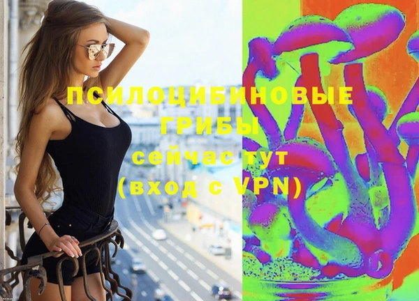 круглые Краснослободск