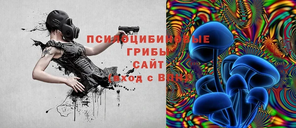 дживик Кулебаки
