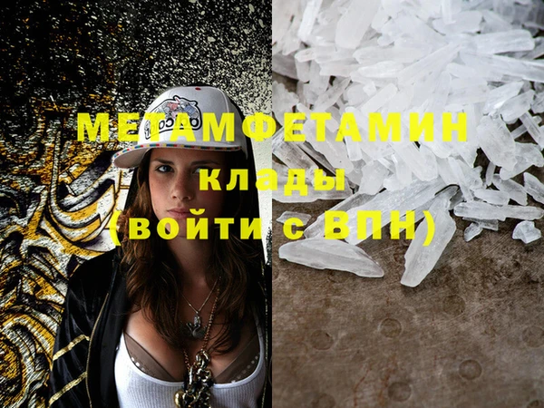 прущие грибы Куйбышев