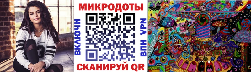 Псилоцибиновые грибы Cubensis  Купить  Лодейное Поле 